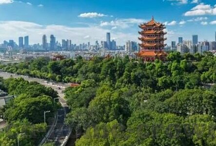 足球比分韩国喀麦隆-韩国VS喀麦隆，一场跨越洲际的足球比分盛宴与战术博弈